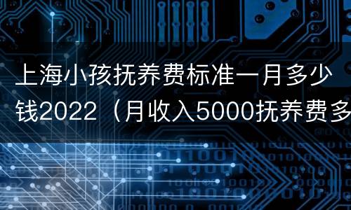 上海小孩抚养费标准一月多少钱2022（月收入5000抚养费多少）