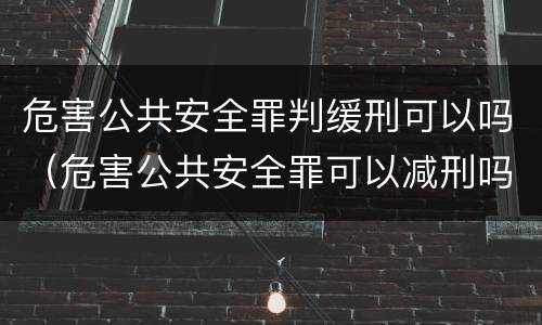 危害公共安全罪判缓刑可以吗（危害公共安全罪可以减刑吗）