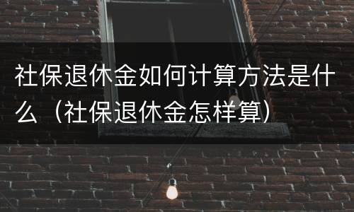 社保退休金如何计算方法是什么（社保退休金怎样算）