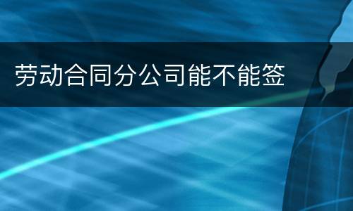 劳动合同分公司能不能签