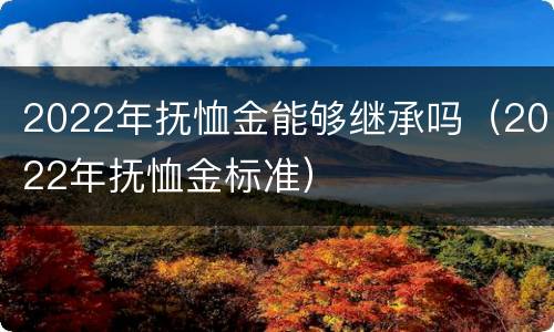 2022年抚恤金能够继承吗（2022年抚恤金标准）