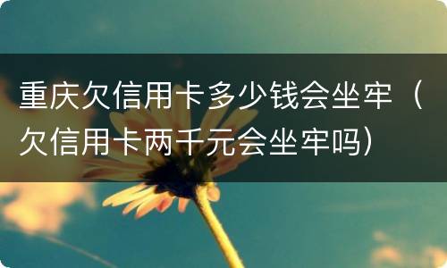 重庆欠信用卡多少钱会坐牢（欠信用卡两千元会坐牢吗）