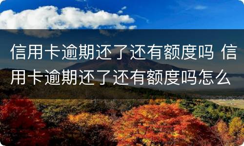 信用卡逾期还了还有额度吗 信用卡逾期还了还有额度吗怎么办