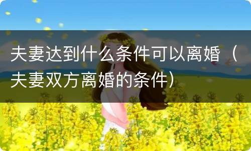 夫妻达到什么条件可以离婚（夫妻双方离婚的条件）