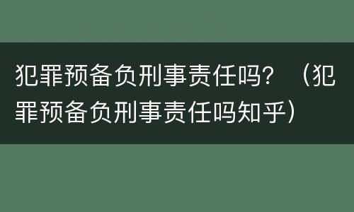 犯罪预备负刑事责任吗？（犯罪预备负刑事责任吗知乎）