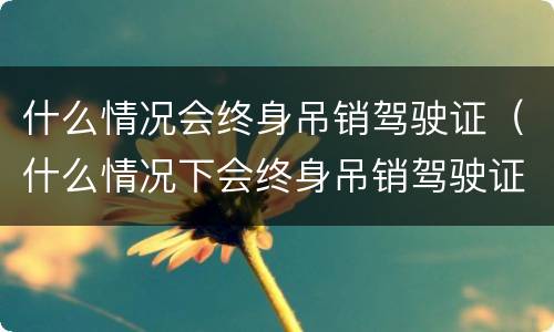 什么情况会终身吊销驾驶证（什么情况下会终身吊销驾驶证）