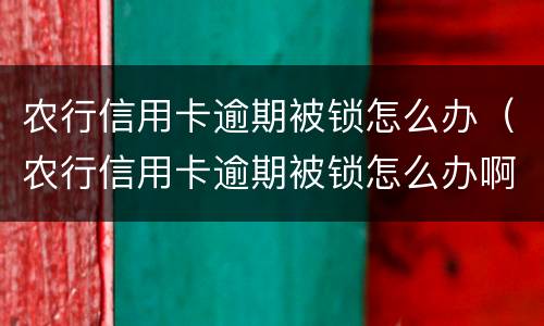 农行信用卡逾期被锁怎么办（农行信用卡逾期被锁怎么办啊）