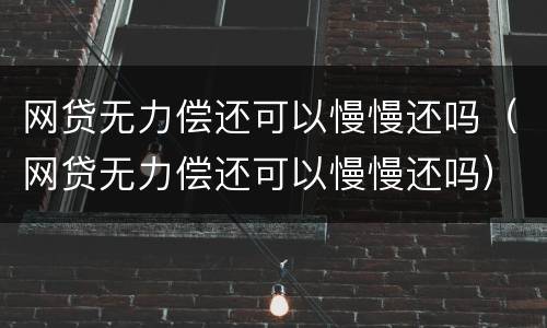网贷无力偿还可以慢慢还吗（网贷无力偿还可以慢慢还吗）