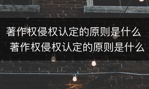 著作权侵权认定的原则是什么 著作权侵权认定的原则是什么法律