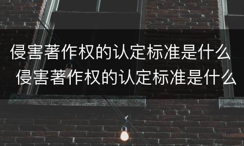 侵害著作权的认定标准是什么 侵害著作权的认定标准是什么意思