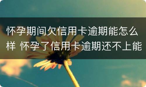 怀孕期间欠信用卡逾期能怎么样 怀孕了信用卡逾期还不上能协商吗