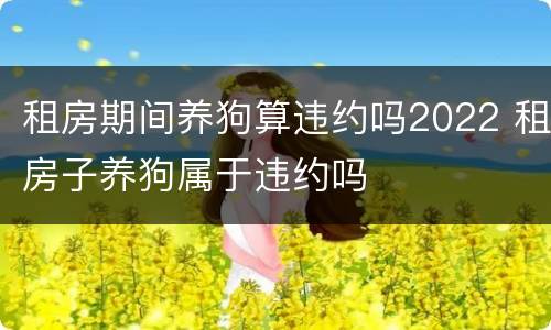 租房期间养狗算违约吗2022 租房子养狗属于违约吗