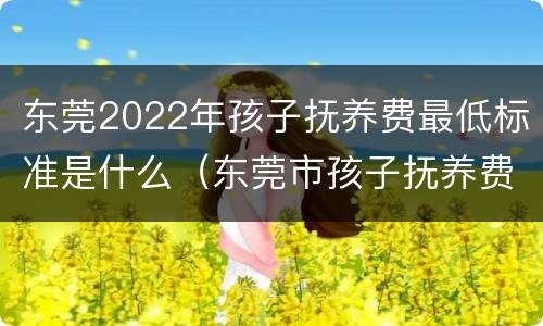 东莞2022年孩子抚养费最低标准是什么（东莞市孩子抚养费一般什么标准）