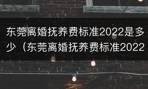 东莞离婚抚养费标准2022是多少（东莞离婚抚养费标准2022是多少岁）