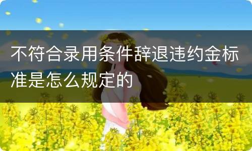 不符合录用条件辞退违约金标准是怎么规定的
