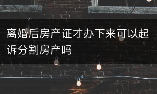 离婚后房产证才办下来可以起诉分割房产吗