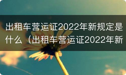 出租车营运证2022年新规定是什么（出租车营运证2022年新规定是什么样的）