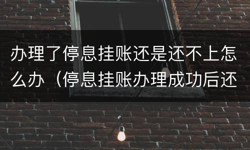 办理了停息挂账还是还不上怎么办（停息挂账办理成功后还有逾期吗?）