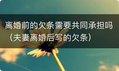 离婚前的欠条需要共同承担吗（夫妻离婚后写的欠条）