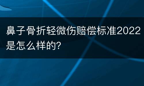 鼻子骨折轻微伤赔偿标准2022是怎么样的？