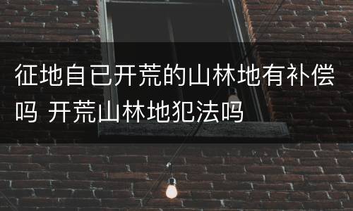 征地自已开荒的山林地有补偿吗 开荒山林地犯法吗