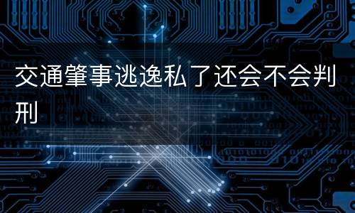 交通肇事逃逸私了还会不会判刑