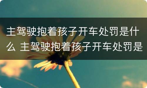 主驾驶抱着孩子开车处罚是什么 主驾驶抱着孩子开车处罚是什么意思