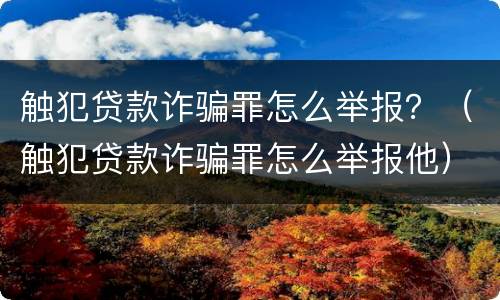 触犯贷款诈骗罪怎么举报？（触犯贷款诈骗罪怎么举报他）