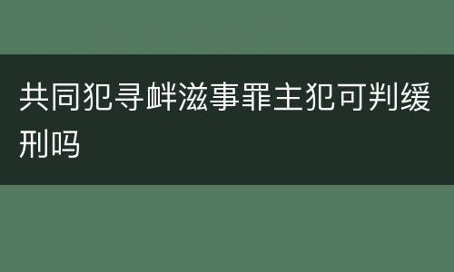 共同犯寻衅滋事罪主犯可判缓刑吗