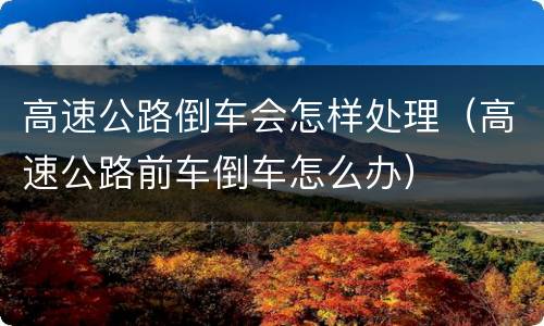 高速公路倒车会怎样处理（高速公路前车倒车怎么办）