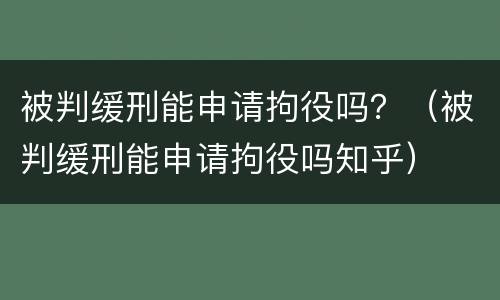 被判缓刑能申请拘役吗？（被判缓刑能申请拘役吗知乎）