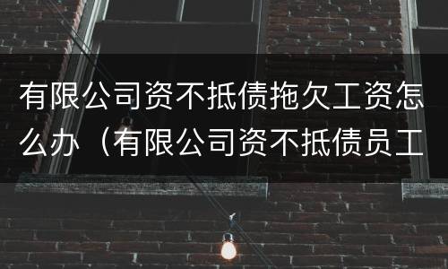 有限公司资不抵债拖欠工资怎么办（有限公司资不抵债员工工资由谁支付）