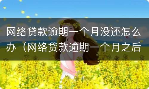 网络贷款逾期一个月没还怎么办（网络贷款逾期一个月之后还会怎么样）