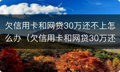 欠信用卡和网贷30万还不上怎么办（欠信用卡和网贷30万还不上怎么办呢）