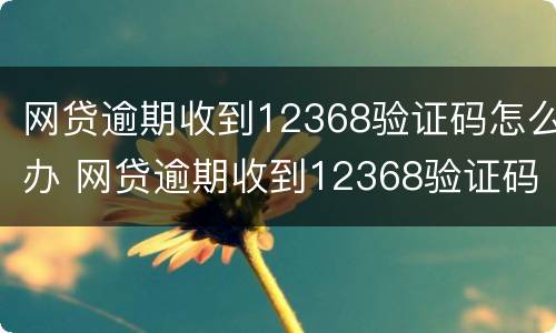 网贷逾期收到12368验证码怎么办 网贷逾期收到12368验证码怎么办理