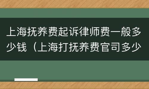 上海抚养费起诉律师费一般多少钱（上海打抚养费官司多少钱）