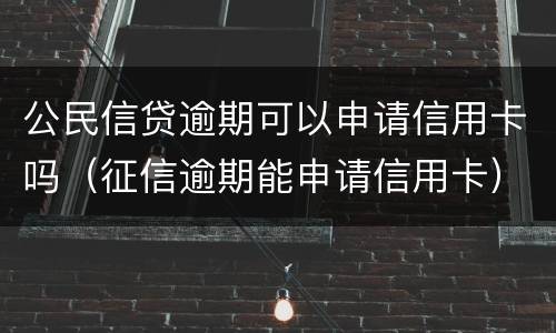 公民信贷逾期可以申请信用卡吗（征信逾期能申请信用卡）