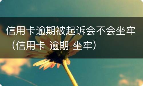 信用卡逾期被起诉会不会坐牢（信用卡 逾期 坐牢）