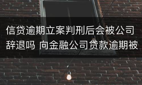 信贷逾期立案判刑后会被公司辞退吗 向金融公司贷款逾期被起诉会不会坐牢