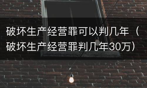 破坏生产经营罪可以判几年（破坏生产经营罪判几年30万）
