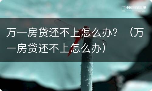 万一房贷还不上怎么办？（万一房贷还不上怎么办）