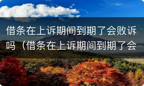 借条在上诉期间到期了会败诉吗（借条在上诉期间到期了会败诉吗怎么写）