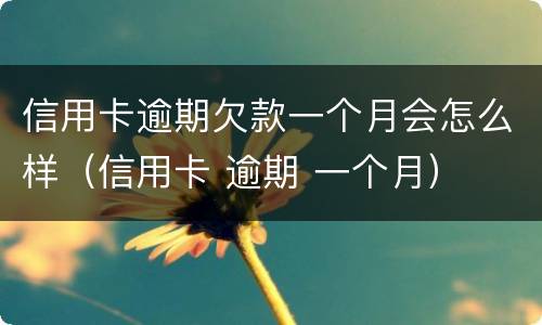 信用卡逾期欠款一个月会怎么样（信用卡 逾期 一个月）