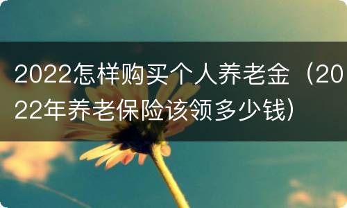 2022怎样购买个人养老金（2022年养老保险该领多少钱）