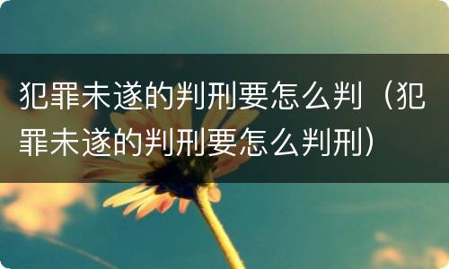 犯罪未遂的判刑要怎么判（犯罪未遂的判刑要怎么判刑）