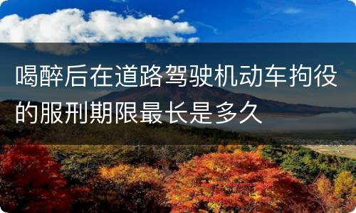 喝醉后在道路驾驶机动车拘役的服刑期限最长是多久