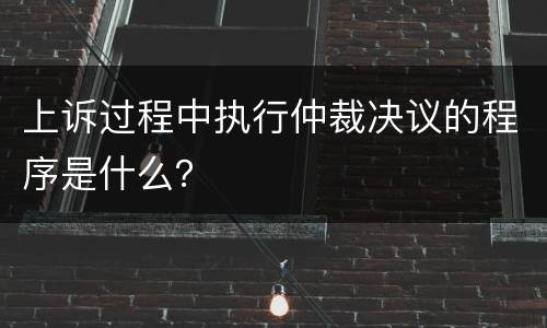 上诉过程中执行仲裁决议的程序是什么？