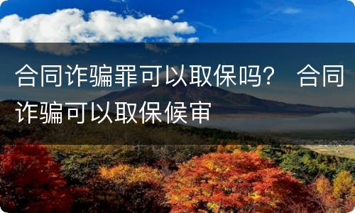 合同诈骗罪可以取保吗？ 合同诈骗可以取保候审