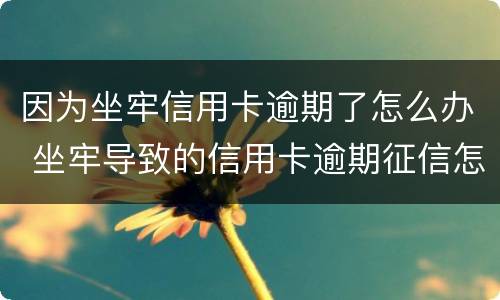 因为坐牢信用卡逾期了怎么办 坐牢导致的信用卡逾期征信怎么处理