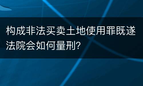 构成非法买卖土地使用罪既遂法院会如何量刑？